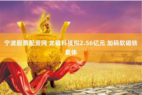 宁波股票配资网 龙磁科技拟2.56亿元 加码软磁铁氧体