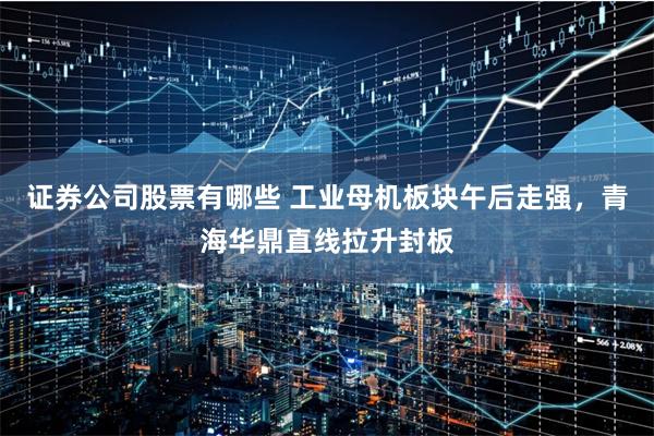 证券公司股票有哪些 工业母机板块午后走强，青海华鼎直线拉升封板
