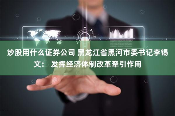 炒股用什么证券公司 黑龙江省黑河市委书记李锡文： 发挥经济体制改革牵引作用