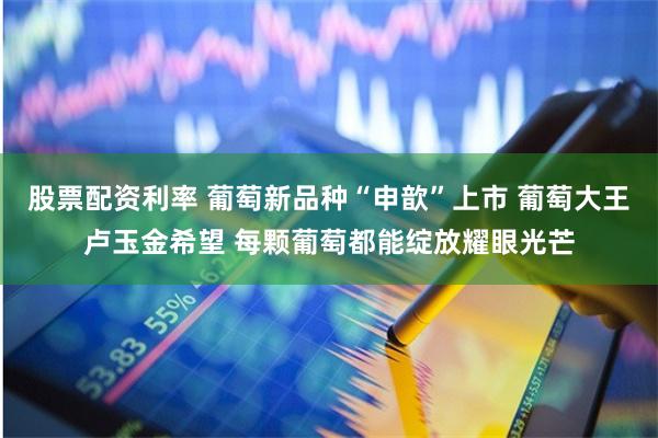 股票配资利率 葡萄新品种“申歆”上市 葡萄大王卢玉金希望 每颗葡萄都能绽放耀眼光芒